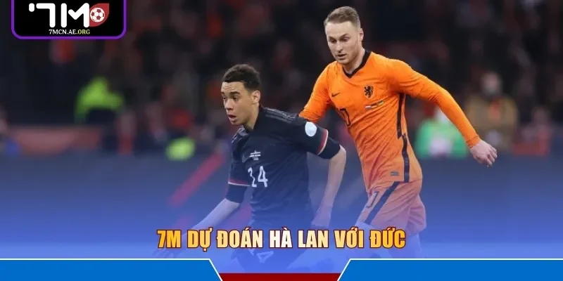 7M dự đoán Hà Lan với Đức 
